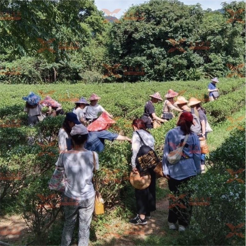 活動實績-京采活動工程股份有限公司-活動企劃公司,桃園活動企劃公司,桃園公關企劃公司